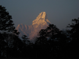 SHERPA CHAI EXPEDITION 2021